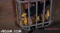 Jouer Libérez la torture porno