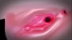Reproducir 3d mmd el acomodador sexual ksweetsop