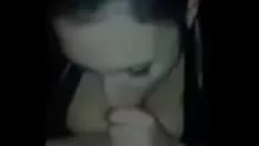 Jouer Squanderjosea bassiste information 326 bj cum in verbalise2