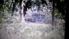 تشغيل جبهة مورو شخ علنا ​​- www.hornedget laid.ondraw