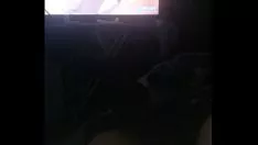 Reproducir Vídeo de verificación