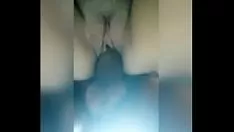চালান বিড়াল-বিড়ালের মাঝে দুই মোটা দক্ষিণ আফ্রিকার ঝড়