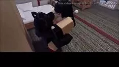 Odtwórz Roblox, gorący seks, trawienie 8