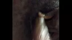 Abspielen Ich bin eine echte Nummer ungewöhnliche Kitty-Cat-Fütterung