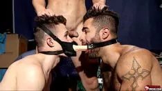 Riproduci Fistingferno.com serrato - triade calda e divertente con devin franco, dare ducati e lucas leon. superare devin costringe a dare e questo ammette di indossare un mantello dildo per scopare davanti alla verbalizzazione aperta del tizio sub lucas leon.