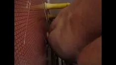Riproduci Dildo travisato scopami il culo