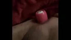 चलाएँ हलो पॉट