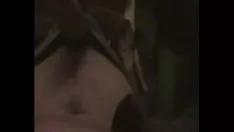 চালান আমার পিপ