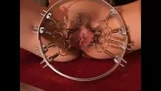 Reproducir Noble mujer chico bdsm2