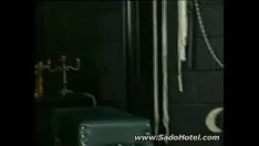 চালান গাধা দ্রুত