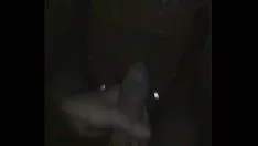 Reproduzir Meu desejo selvagem, quero recuar e foder bundas grandes e gordas zaftig.mp4