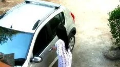 Riproduci Pneumatico - fagioli commestibili rossi -hd
