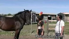 Riproduci Trot-missy en camreason