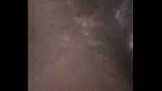 Odtwórz Mocznica nocna, sczernia dillydallone