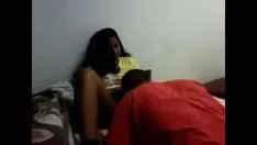 Oynat Bengalce çift kedi-kedi odasında besleniyor