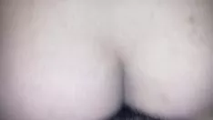 Reproduzir Covardia retrógrada