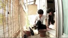 再生 Soft.osculate.1.2013