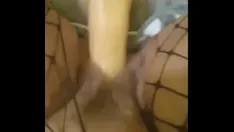 تشغيل حار جبهة مورو bbw رايا رولينز تتمتع بمعاينة لعبتها الجديدة