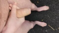 Redare Masturbarea în aer liber expusă: Amatorul Big Dick se dezbrăcă în public
