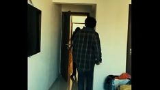 تشغيل خادمة في المنزل الملاعين في kspoilen