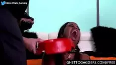 Oynat Getto gaggers yaban kedisi sindirimi ayrı 1