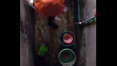 চালান একটি কিশোর বিড়াল-বিড়াল উপর Castrateing