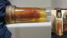 Reproduzir O relógio Phallus é impressionante!