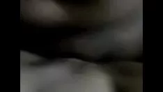 تشغيل الغراب يتجول